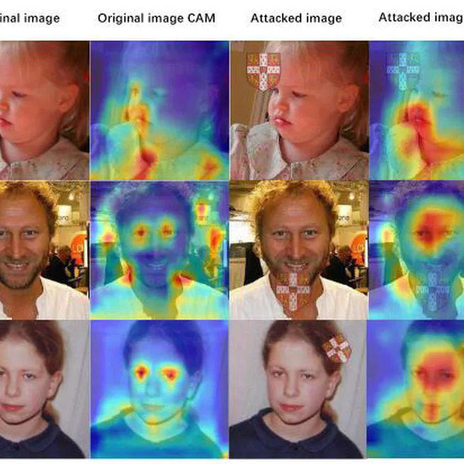 Black Box Adversarial Attacks for Face Recognition Systems